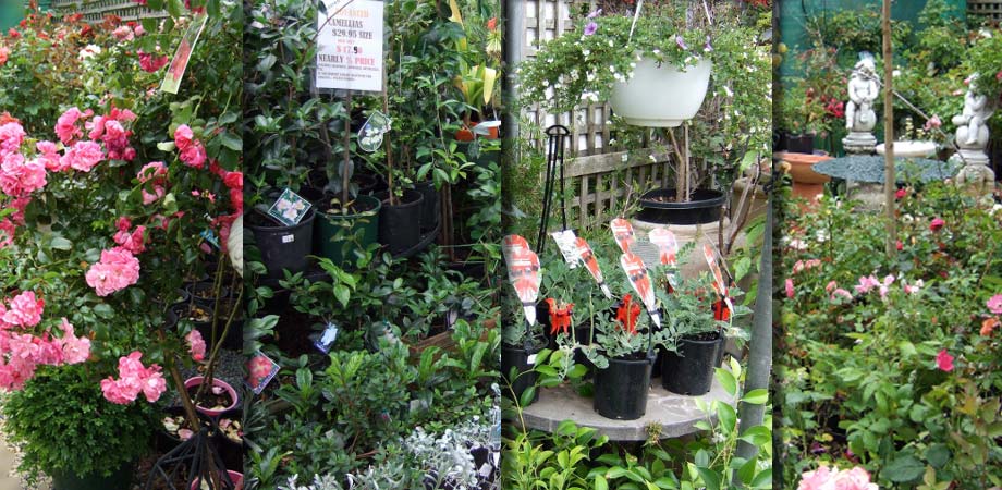 gardenarium.jpg