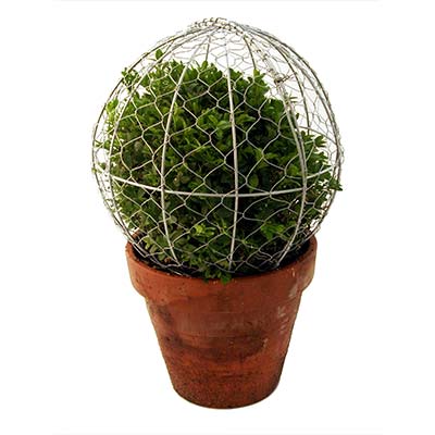 Topiary-Ball-Frame.jpg