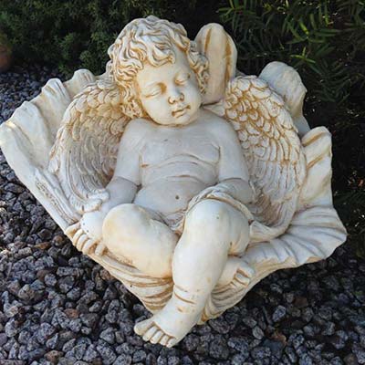 Angel in Shell Angel-in-shell.jpg